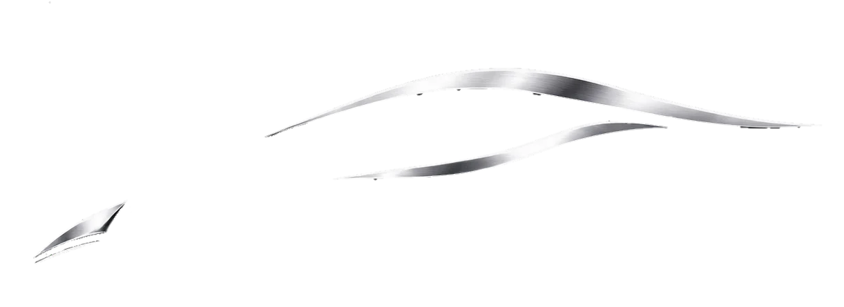 FTX carSilver